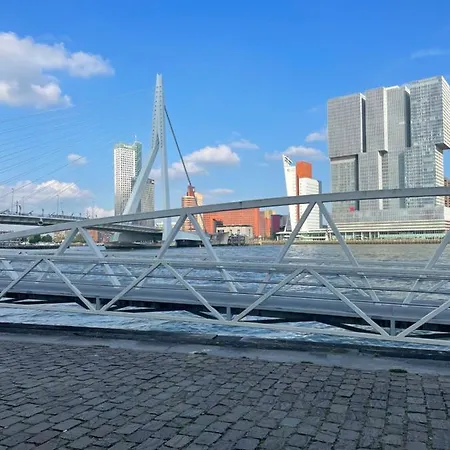 City Vibes *