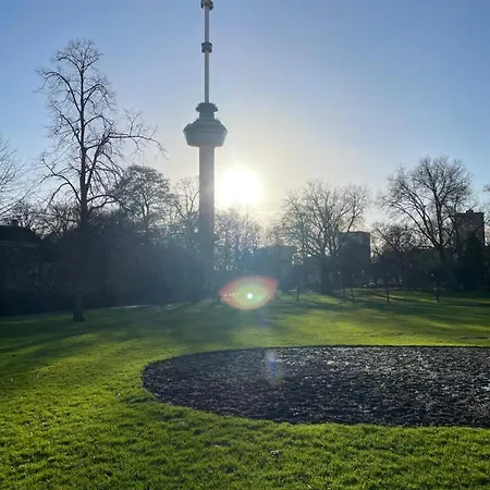 City Vibes Rotterdam